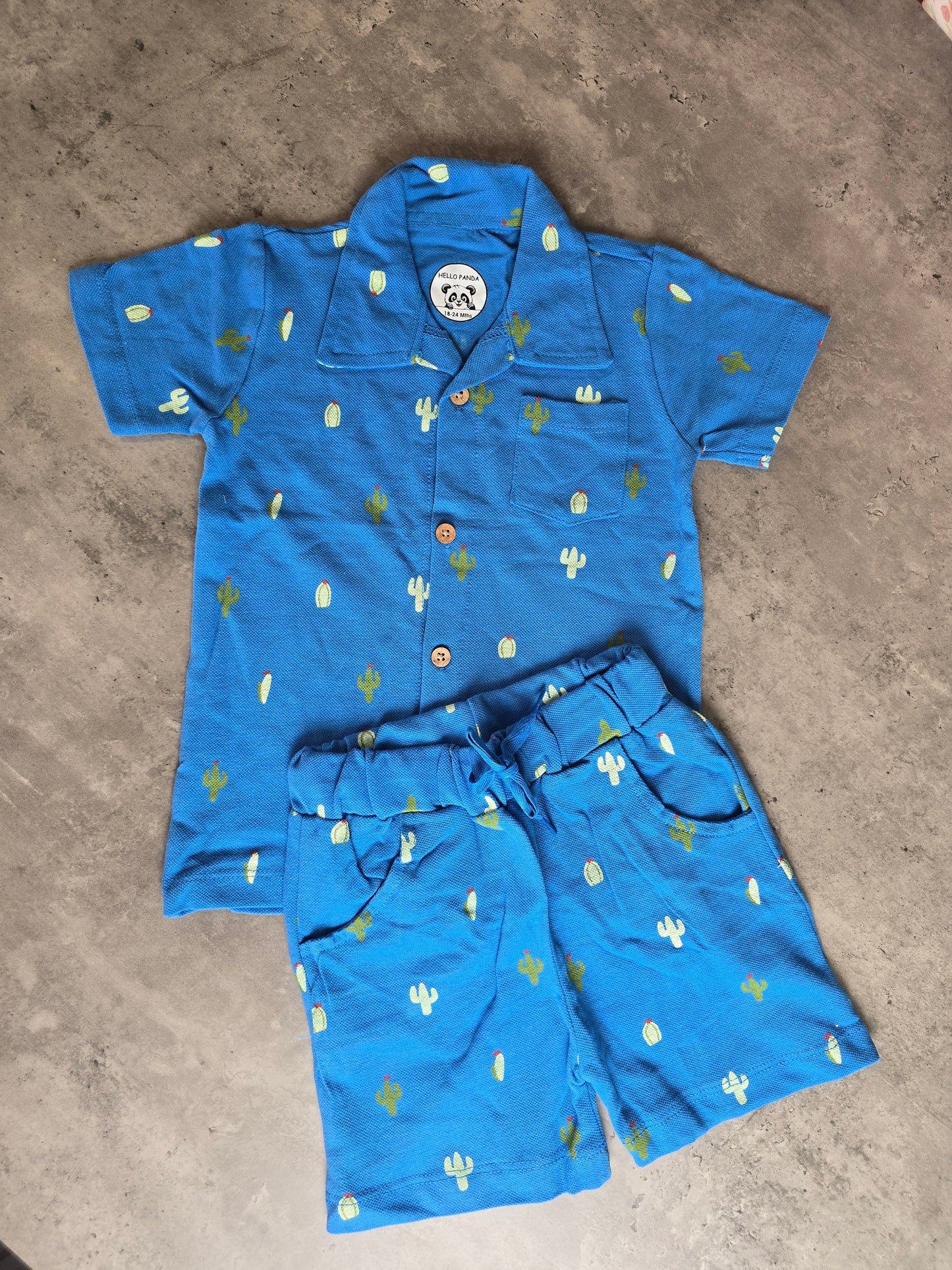 Blue Cactus Cotton Coord set