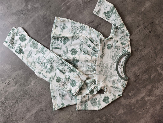Green Scenary Frill coord set