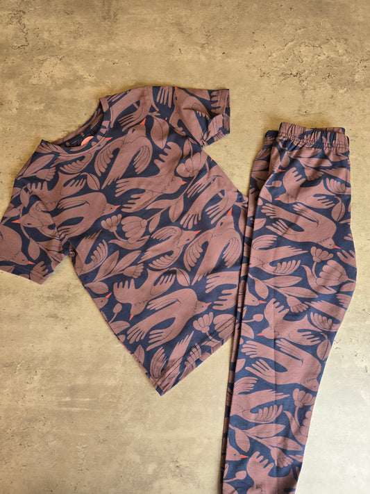 Brown blue bird coord set